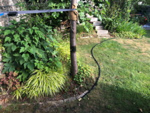 Rasenkante leicht gemacht • Ich seh grün