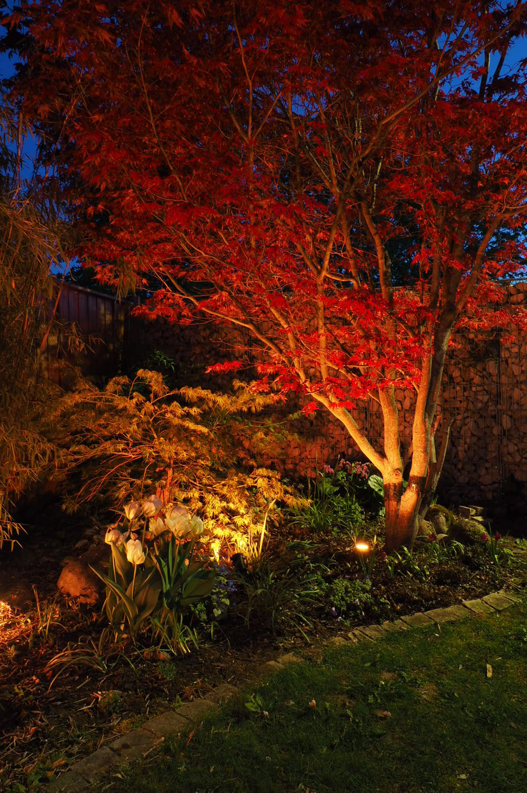 Smarte Beleuchtung im Garten - so funktioniert's! • Ich seh grün