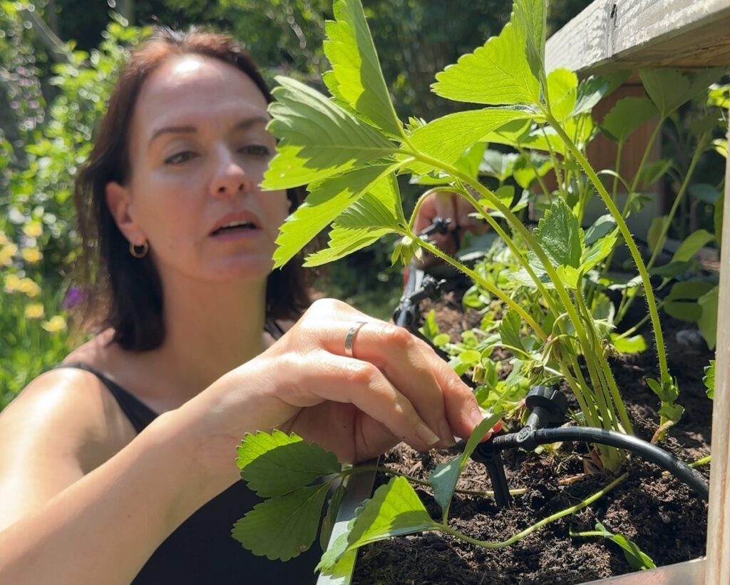 GARDENA Micro-Drip-System mit Bodenfreuchte Sensor