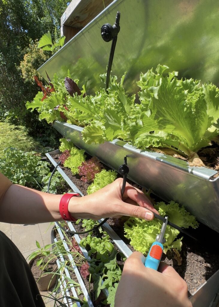 GARDENA Micro-Drip-System mit Bodenfreuchte Sensor