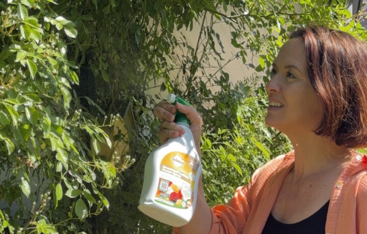 Grundstoff Lecithin von Solabiol