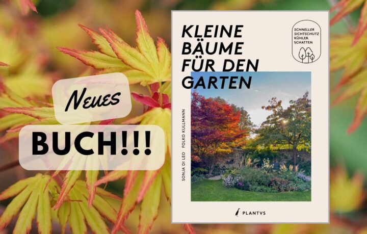 Neues Buch: Kleine Bäume für den Garten
