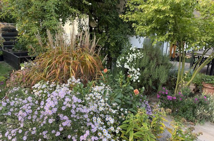 Mein Staudenset bei Mein schöner Garten