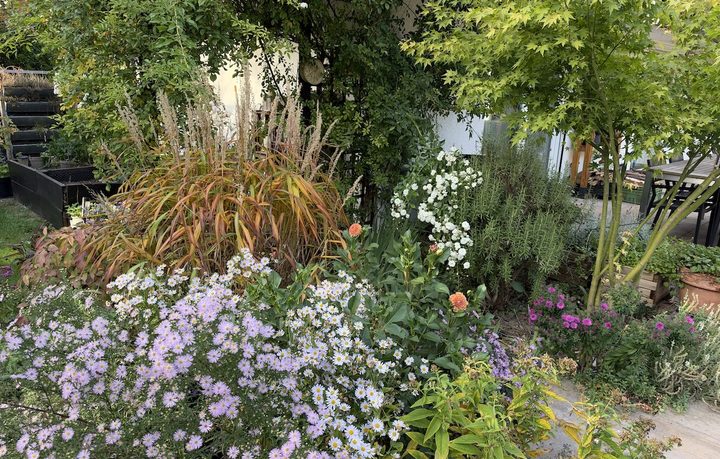 Mein Staudenset bei Mein schöner Garten